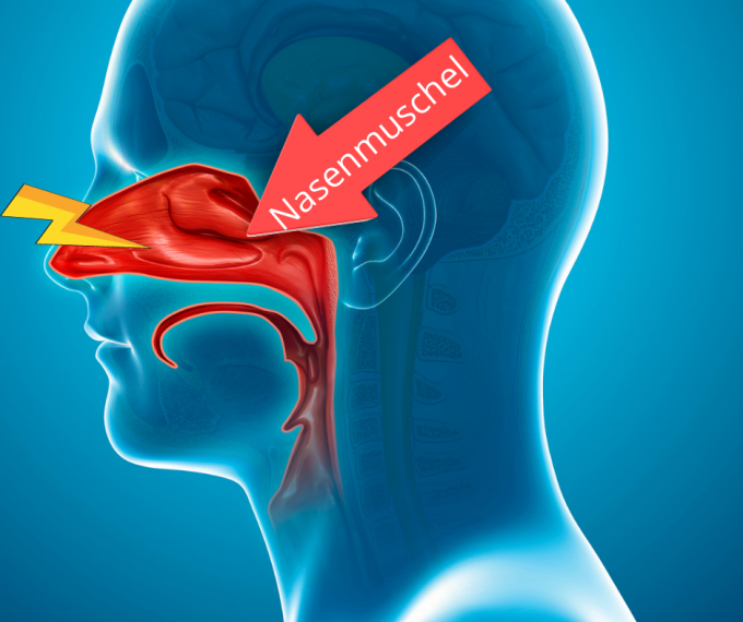 behinderte Nasenatmung